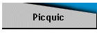 Picquic