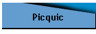 Picquic